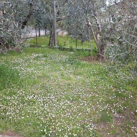 Montepulciano Stazione Casa Gli Ulivi 빌라 외부 사진
