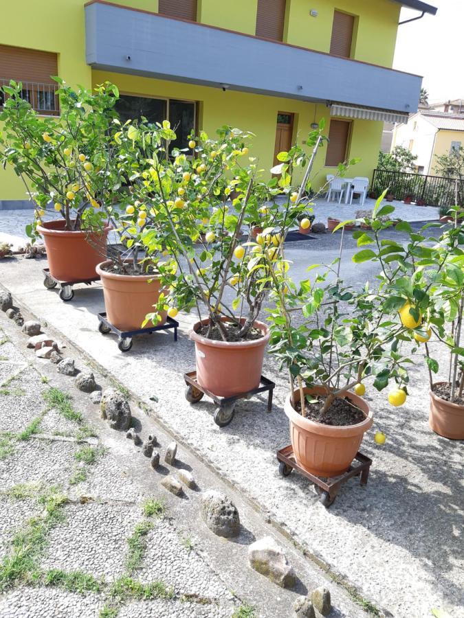 Montepulciano Stazione Casa Gli Ulivi 빌라 외부 사진
