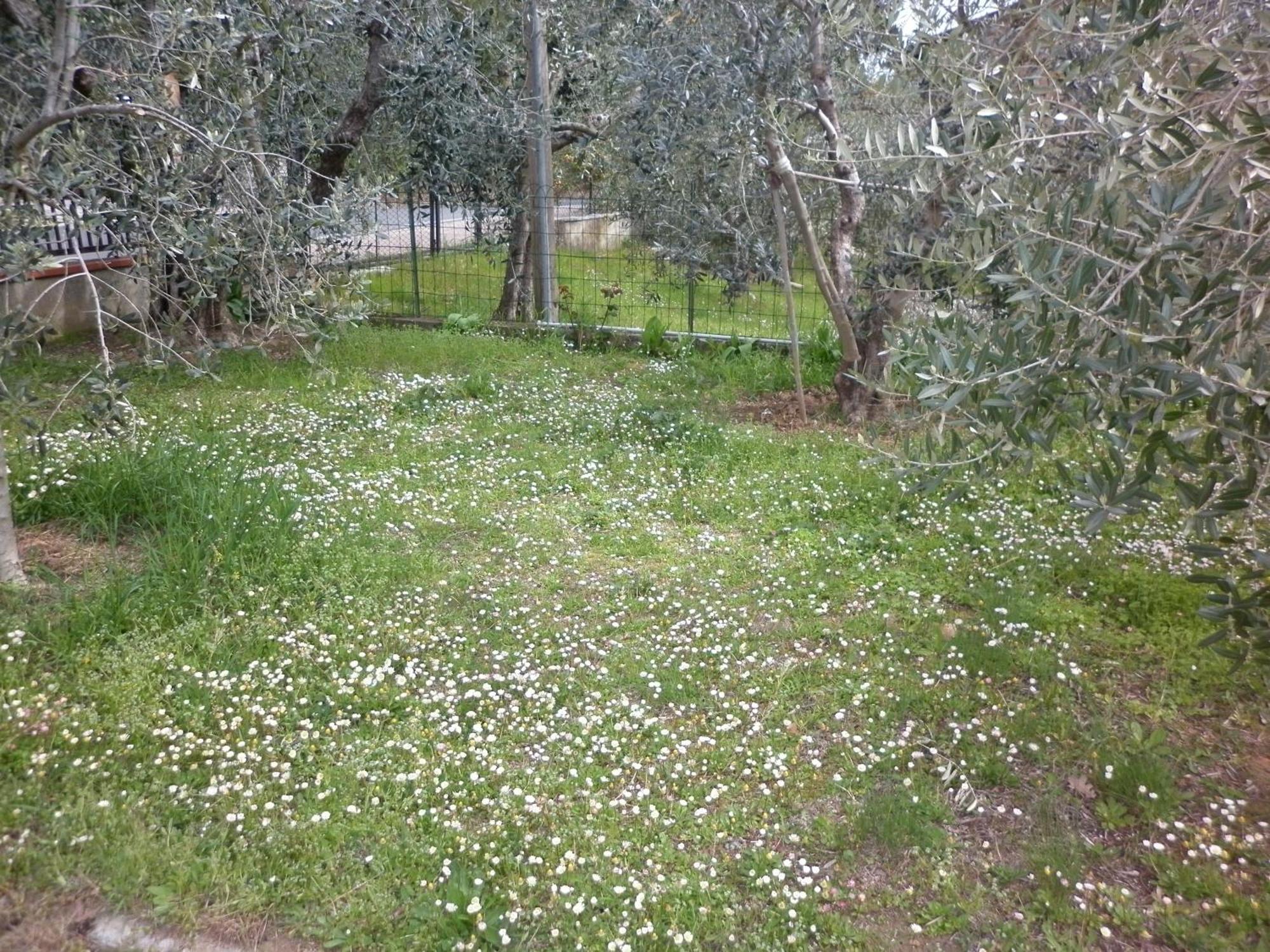 Montepulciano Stazione Casa Gli Ulivi 빌라 외부 사진