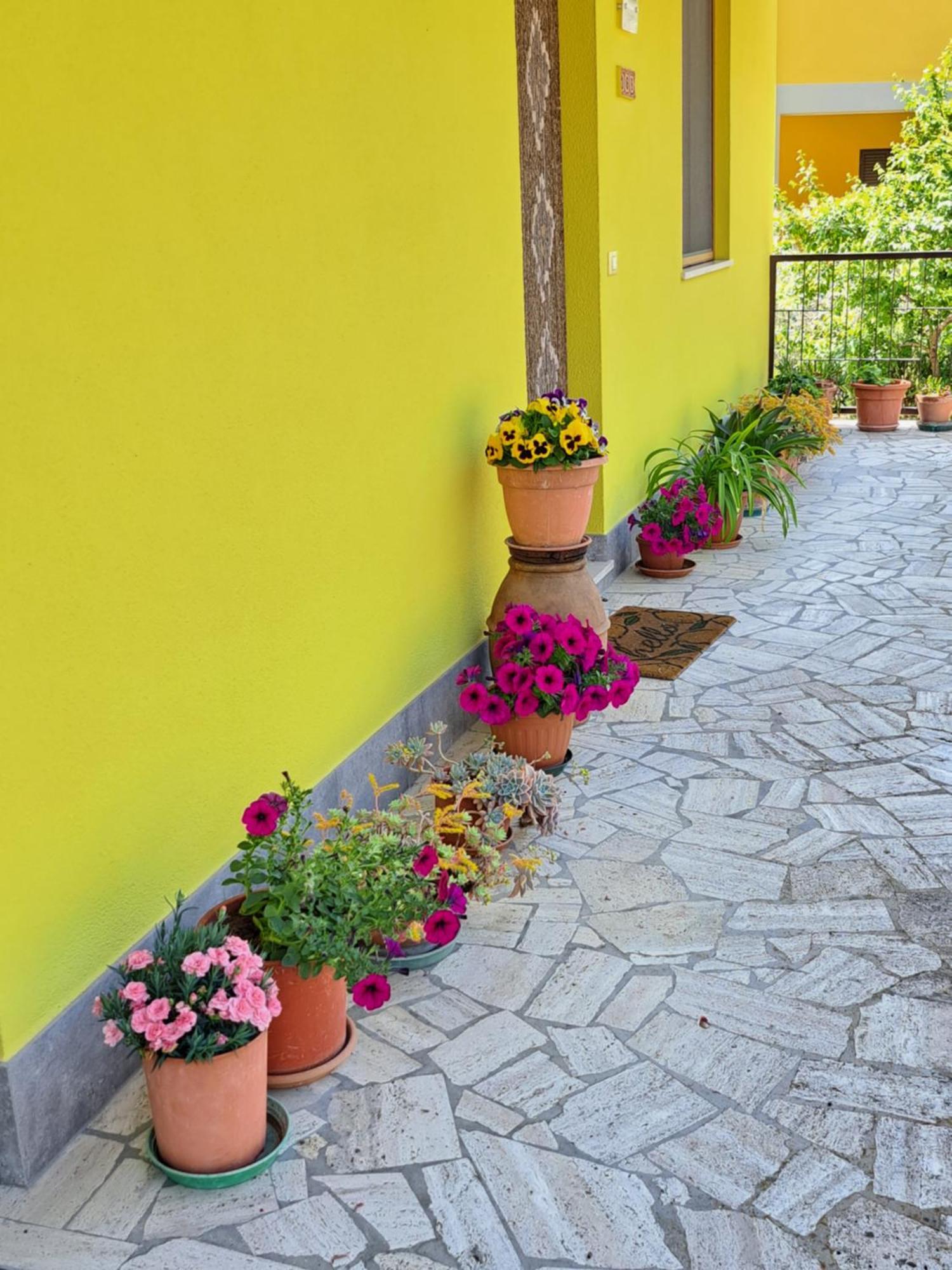 Montepulciano Stazione Casa Gli Ulivi 빌라 외부 사진