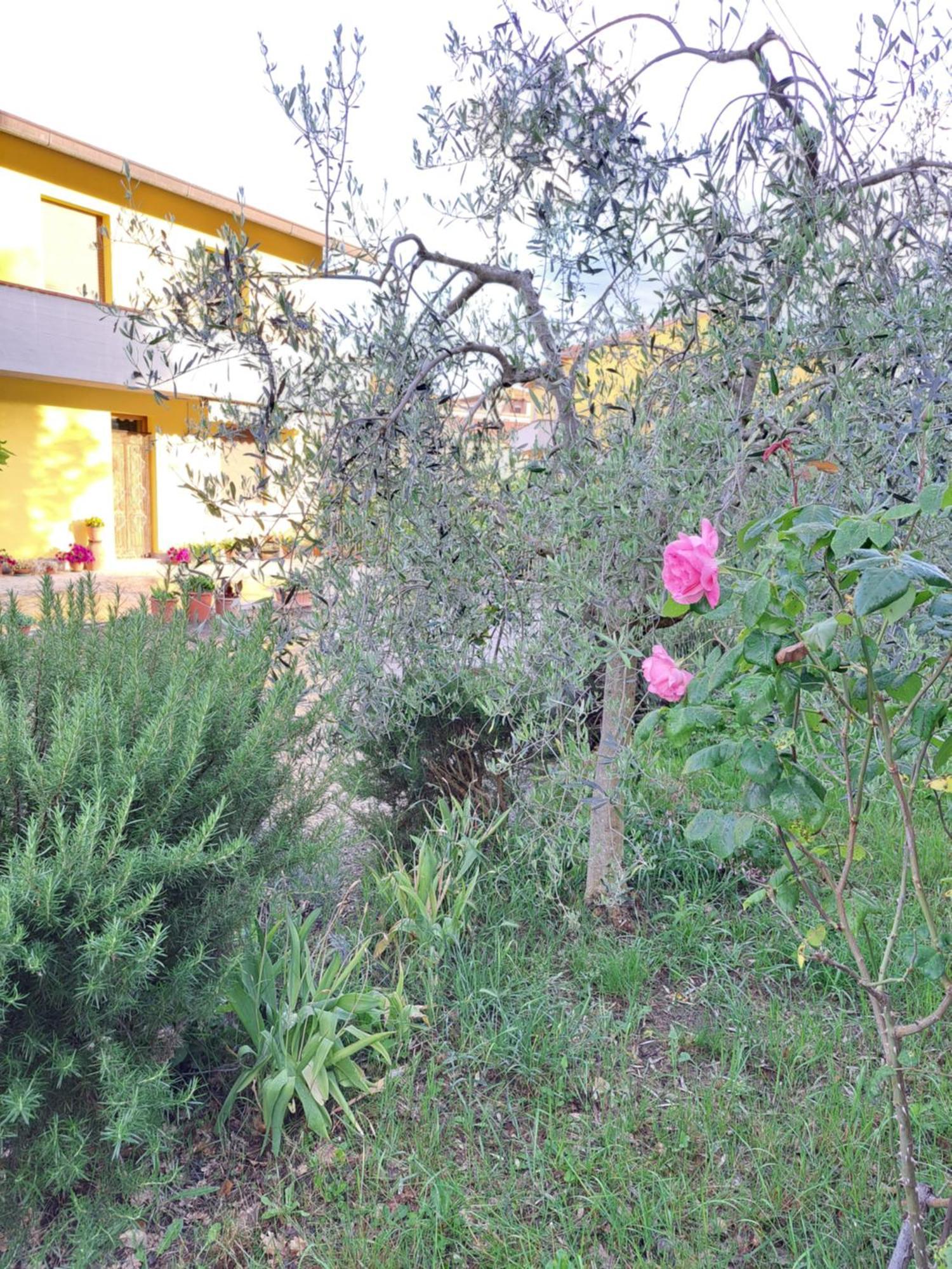 Montepulciano Stazione Casa Gli Ulivi 빌라 외부 사진