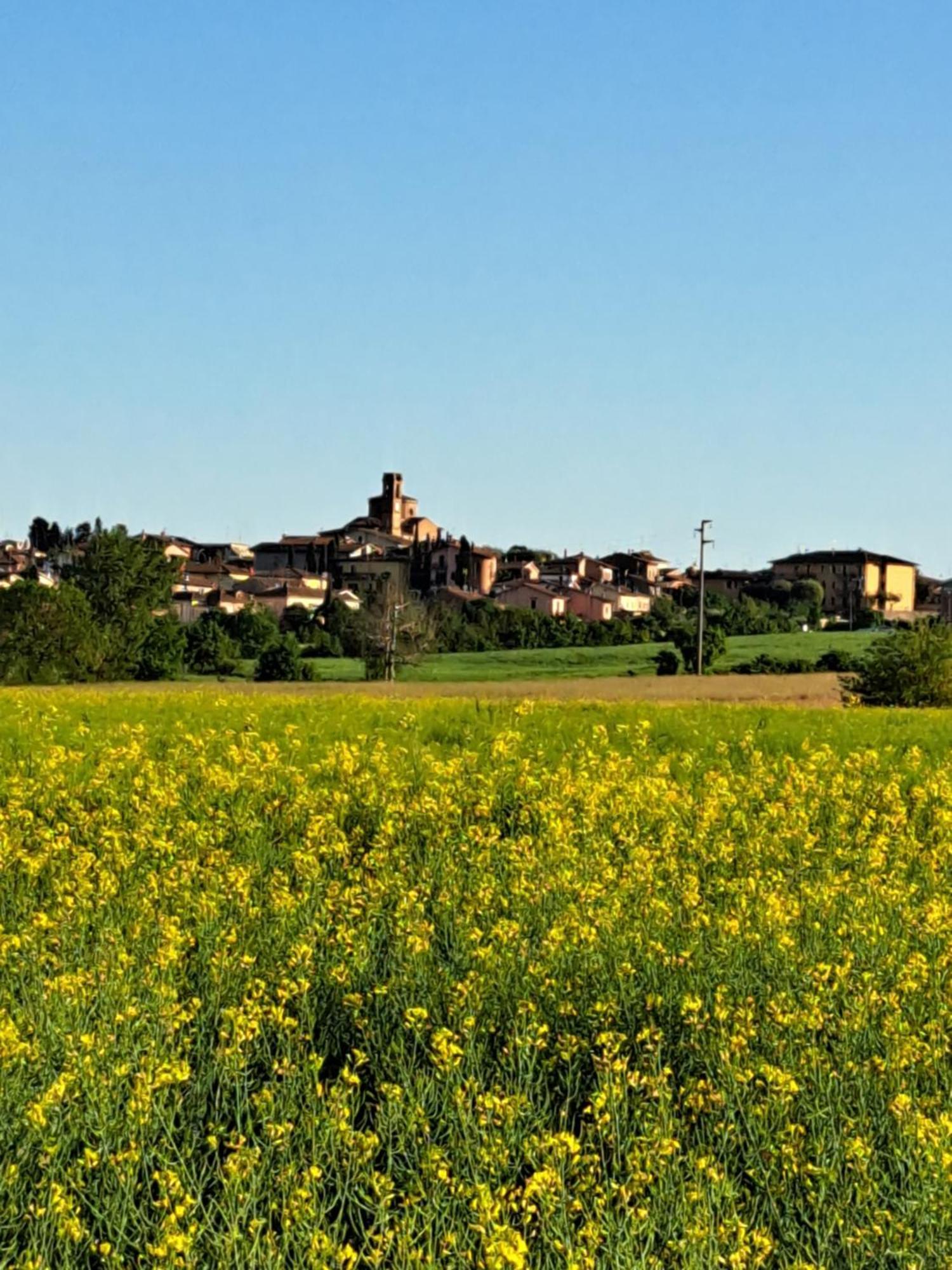 Montepulciano Stazione Casa Gli Ulivi 빌라 외부 사진